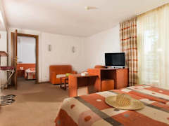Zimmerbild 12