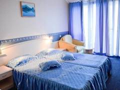 Zimmerbild 10