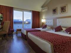 Zimmerbild 6