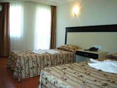 Zimmerbild 12