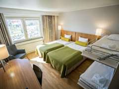 Zimmerbild 10