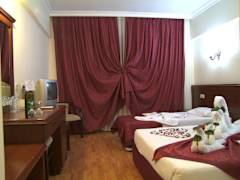 Zimmerbild 8