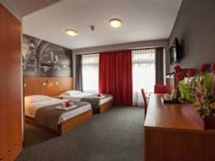 Zimmerbild 13