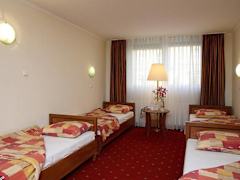 Zimmerbild 23