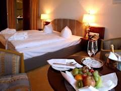 Zimmerbild 11
