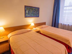 Zimmerbild 11