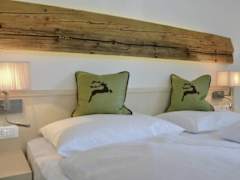 Zimmerbild 1