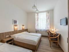 Zimmerbild 60