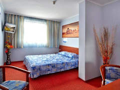 Zimmerbild 11