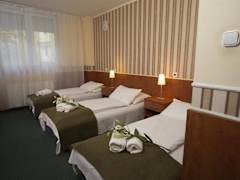 Zimmerbild 26
