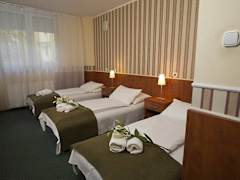 Zimmerbild 23