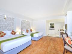 Zimmerbild 16
