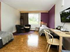 Zimmerbild 11