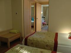 Zimmerbild 6