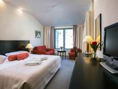 Zimmerbild 12