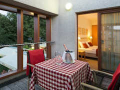 Zimmerbild 16