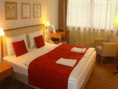 Zimmerbild 13