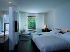 Zimmerbild 11
