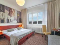 Zimmerbild 12