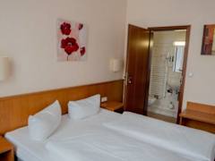 Zimmerbild 9