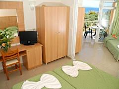 Zimmerbild 8
