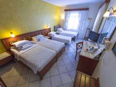 Zimmerbild 11