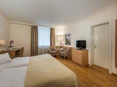 Zimmerbild 15