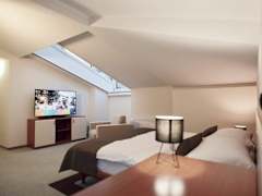 Zimmerbild 15
