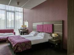 Zimmerbild 13