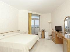 Zimmerbild 8