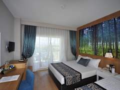 Zimmerbild 12