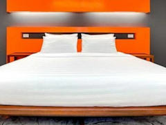 Zimmerbild 5