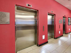 Zimmerbild 29