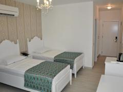 Zimmerbild 8