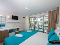 Zimmerbild 14