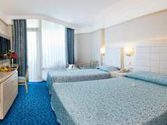 Zimmerbild 10