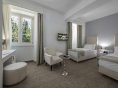 Zimmerbild 27