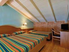 Zimmerbild 8