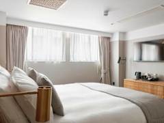 Zimmerbild 19