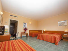 Zimmerbild 9