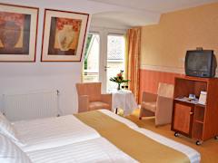 Zimmerbild 11