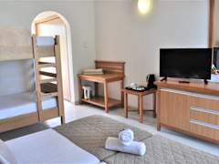 Zimmerbild 41