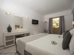 Zimmerbild 29