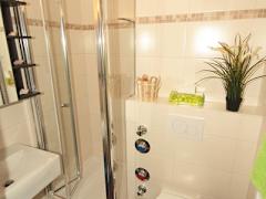 Zimmerbild 8