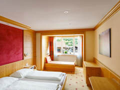 Zimmerbild 8