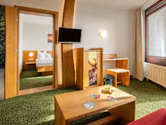 Zimmerbild 7