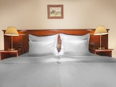 Zimmerbild 26