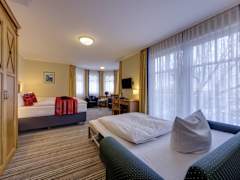 Zimmerbild 5