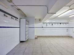 Zimmerbild 5