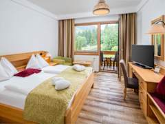 Zimmerbild 0